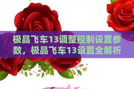 极品飞车13调整控制设置参数，极品飞车13设置全解析，打造你的专属赛车体验