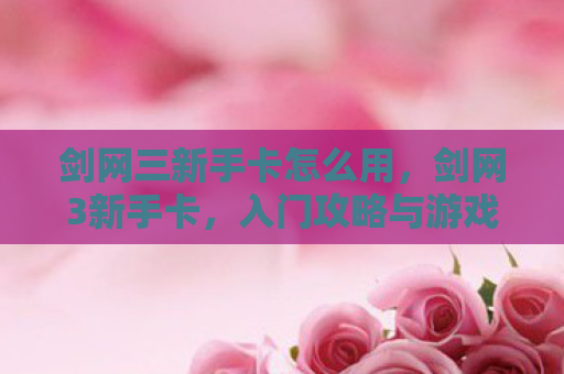 剑网三新手卡怎么用，剑网3新手卡，入门攻略与游戏心得