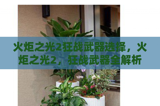 火炬之光2狂战武器选择，火炬之光2，狂战武器全解析