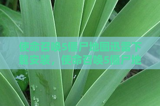 使命召唤5僵尸地图迅雷下载安装，使命召唤5僵尸地图，探索未知恐怖的世界