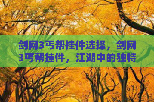 剑网3丐帮挂件选择，剑网3丐帮挂件，江湖中的独特魅力