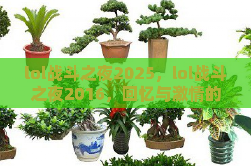 lol战斗之夜2025，lol战斗之夜2016，回忆与激情的碰撞