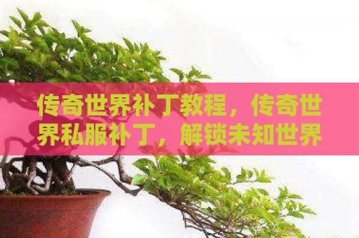 传奇世界补丁教程，传奇世界私服补丁，解锁未知世界的钥匙