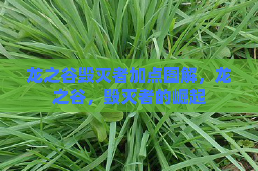 龙之谷毁灭者加点图解，龙之谷，毁灭者的崛起