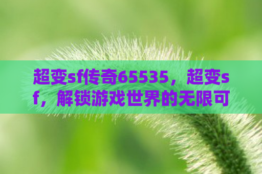 超变sf传奇65535，超变sf，解锁游戏世界的无限可能