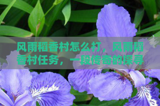 风雨稻香村怎么打，风雨稻香村任务，一段传奇的探寻之旅