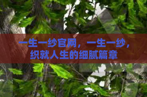 一生一纱官网，一生一纱，织就人生的细腻篇章