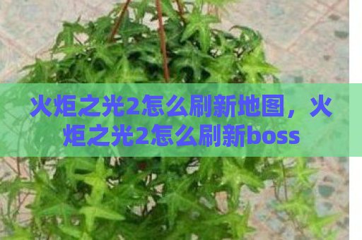 火炬之光2怎么刷新地图，火炬之光2怎么刷新boss