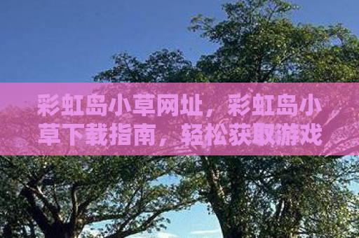 彩虹岛小草网址，彩虹岛小草下载指南，轻松获取游戏辅助工具