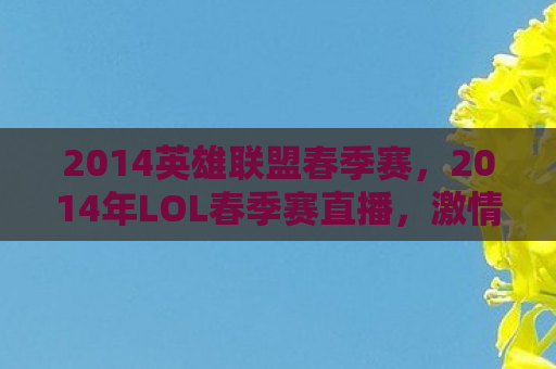 2014英雄联盟春季赛，2014年LOL春季赛直播，激情与荣耀的碰撞