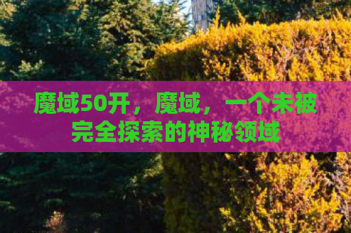 魔域50开，魔域，一个未被完全探索的神秘领域