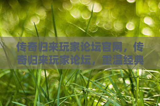 传奇归来玩家论坛官网，传奇归来玩家论坛，重温经典，共筑传奇