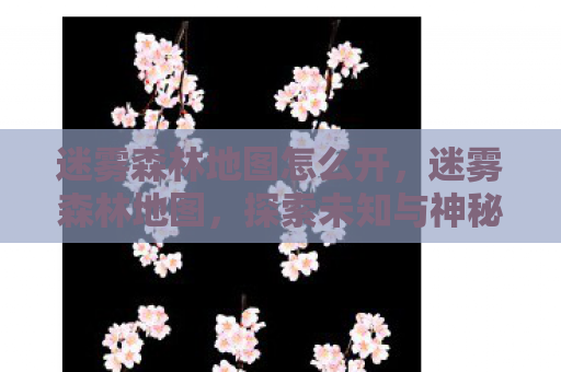 迷雾森林地图怎么开，迷雾森林地图，探索未知与神秘的旅程