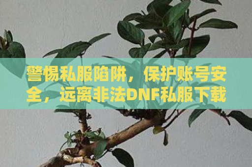 警惕私服陷阱，保护账号安全，远离非法DNF私服下载