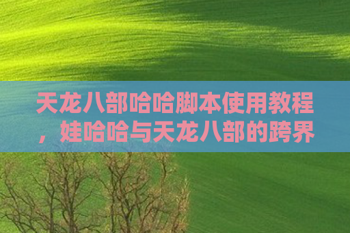 天龙八部哈哈脚本使用教程，娃哈哈与天龙八部的跨界合作，一场甜蜜与武侠的奇妙碰撞