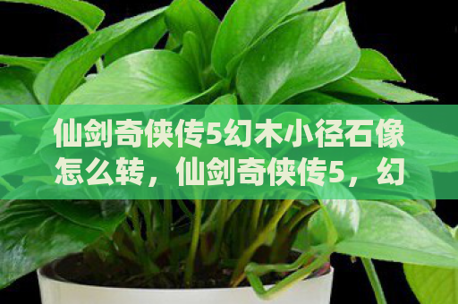 仙剑奇侠传5幻木小径石像怎么转，仙剑奇侠传5，幻木小径的神秘之旅