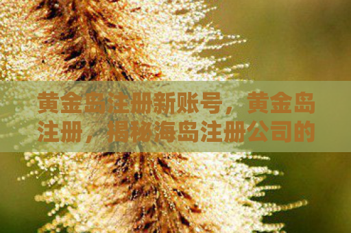 黄金岛注册新账号，黄金岛注册，揭秘海岛注册公司的奥秘