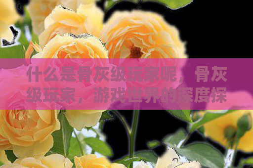 什么是骨灰级玩家呢，骨灰级玩家，游戏世界的深度探索者