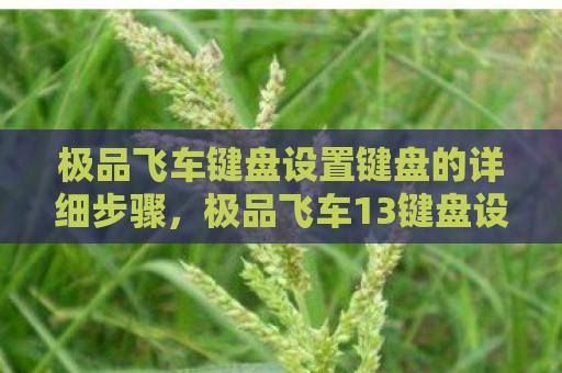 极品飞车键盘设置键盘的详细步骤，极品飞车13键盘设置指南