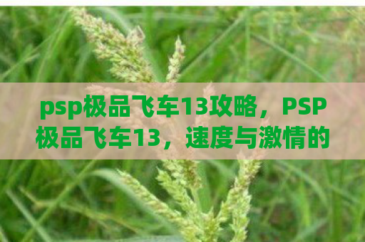 psp极品飞车13攻略，PSP极品飞车13，速度与激情的掌中盛宴