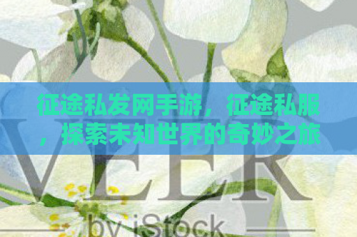征途私发网手游，征途私服，探索未知世界的奇妙之旅