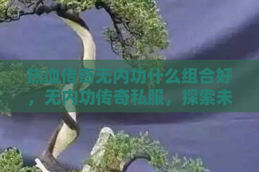 热血传奇无内功什么组合好，无内功传奇私服，探索未知的游戏世界