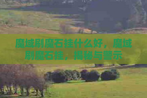 魔域刷魔石挂什么好，魔域刷魔石挂，揭秘与警示