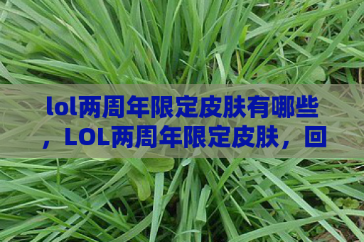 lol两周年限定皮肤有哪些，LOL两周年限定皮肤，回忆与荣耀的结晶