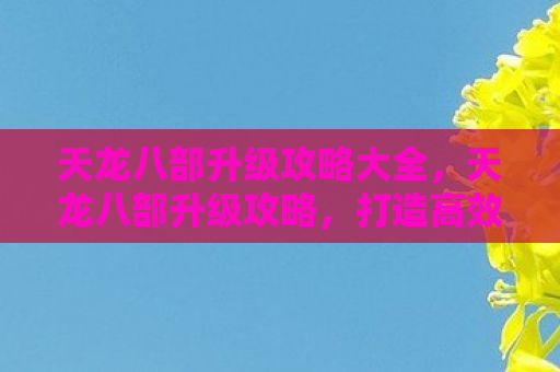 天龙八部升级攻略大全，天龙八部升级攻略，打造高效角色，畅游武侠世界