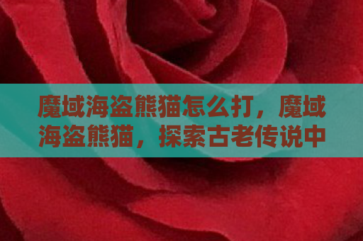 魔域海盗熊猫怎么打，魔域海盗熊猫，探索古老传说中的神秘生物
