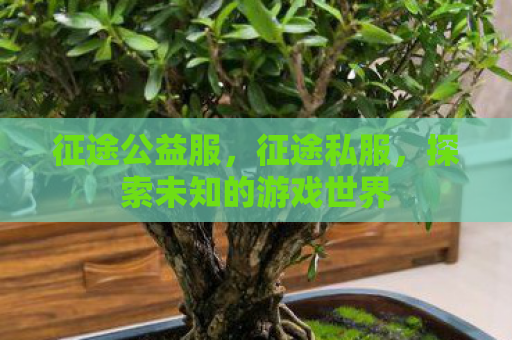 征途公益服，征途私服，探索未知的游戏世界