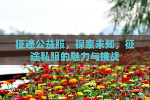 征途公益服，探索未知，征途私服的魅力与挑战