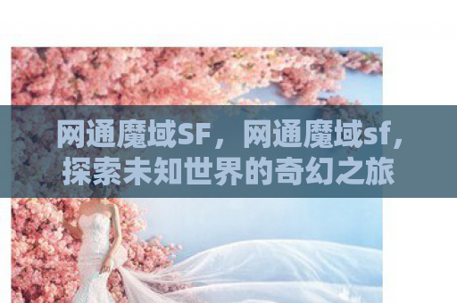 网通魔域SF，网通魔域sf，探索未知世界的奇幻之旅