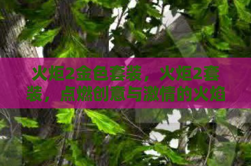 火炬2金色套装，火炬2套装，点燃创意与激情的火焰