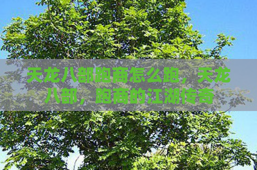 天龙八部跑商怎么跑，天龙八部，跑商的江湖传奇