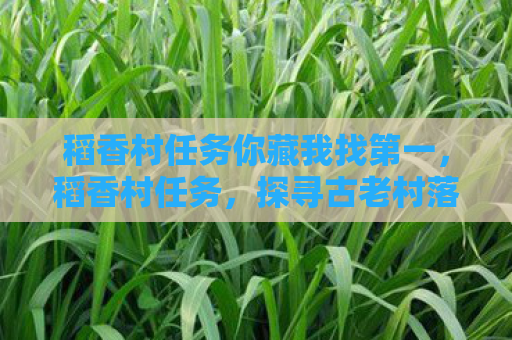 稻香村任务你藏我找第一，稻香村任务，探寻古老村落的传奇故事