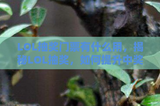LOL抽奖门票有什么用，揭秘LOL抽奖，如何提升中奖率与避免陷阱