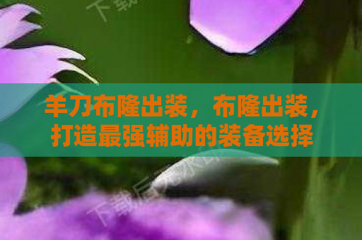 羊刀布隆出装，布隆出装，打造最强辅助的装备选择