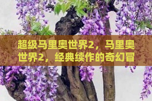 超级马里奥世界2，马里奥世界2，经典续作的奇幻冒险