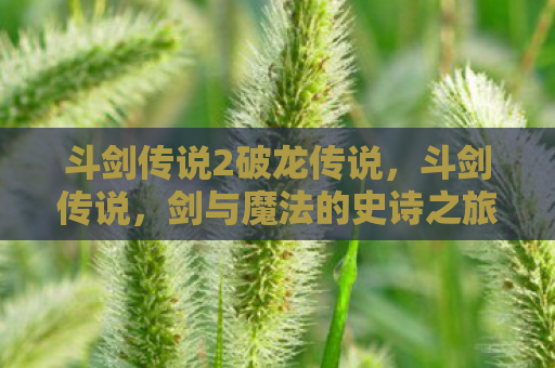 斗剑传说2破龙传说，斗剑传说，剑与魔法的史诗之旅