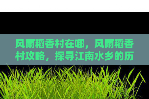 风雨稻香村在哪，风雨稻香村攻略，探寻江南水乡的历史与美景
