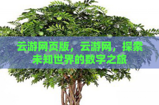 云游网页版，云游网，探索未知世界的数字之旅