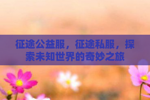 征途公益服，征途私服，探索未知世界的奇妙之旅