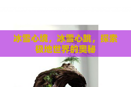 冰雪心境，冰雪心跳，探索极地世界的奥秘