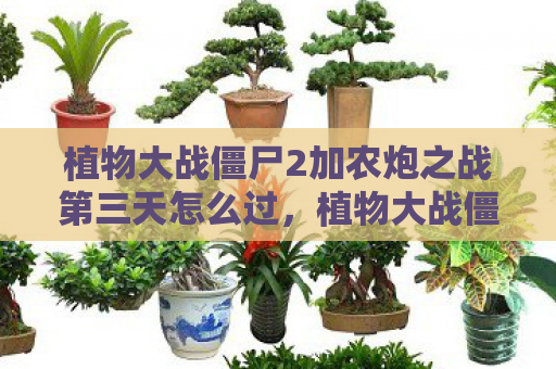 植物大战僵尸2加农炮之战第三天怎么过，植物大战僵尸2，加农炮之战第三天攻略