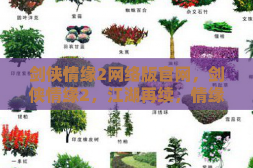 剑侠情缘2网络版官网，剑侠情缘2，江湖再续，情缘难断