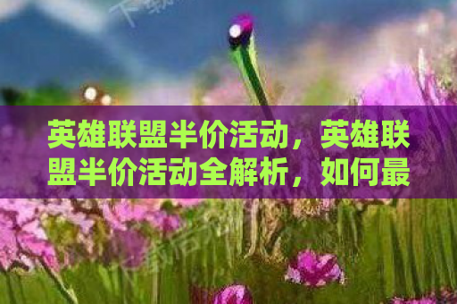 英雄联盟半价活动，英雄联盟半价活动全解析，如何最大化你的游戏资产