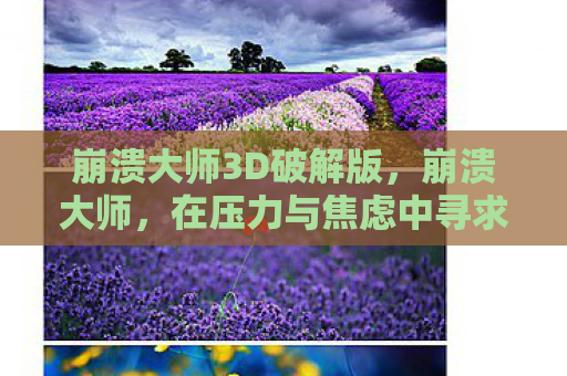 崩溃大师3D破解版，崩溃大师，在压力与焦虑中寻求平衡