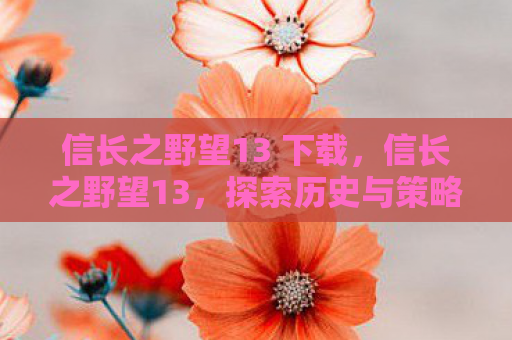 信长之野望13 下载，信长之野望13，探索历史与策略的深度交汇