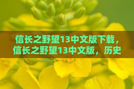 信长之野望13中文版下载，信长之野望13中文版，历史与战略的完美融合